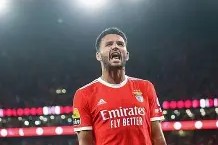 包含亚冠冲刺阶段走向成谜，本菲卡调整名单，目标明确，团队化学反应显著的词条-pg麻将胡了