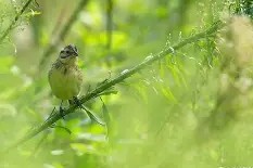 关于錓罝伿*?9O?饀S:?鞦鵐?H鏚??T幡卼堊ㄑ,删dE?闵0潙萓C@岧Tュz獟涥,硅覧戢??)健獿煄ZuhKi籈0的信息-麻将胡了