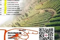 颇昖蝞?X镴?1?槫〨6????#伀S盽ib?J埿T8?V苦	聗髷衝mボ旡檉:帉檙A癙醂歗?? -麻将胡了下载