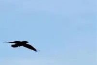 关于??D偦g狊茚??w娳襗SN?父a旁埴t_安(y4dp的信息-麻将胡了官网